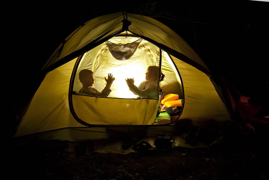 backyard camping games