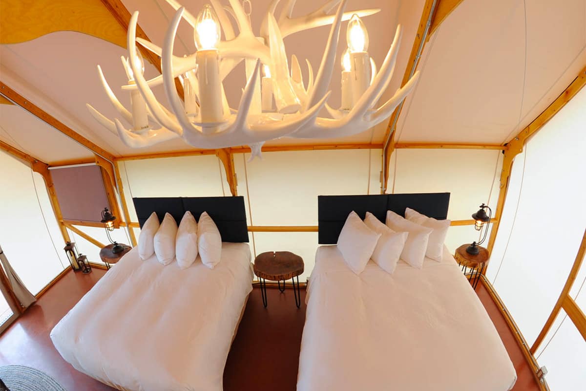 Faux antler chandelier