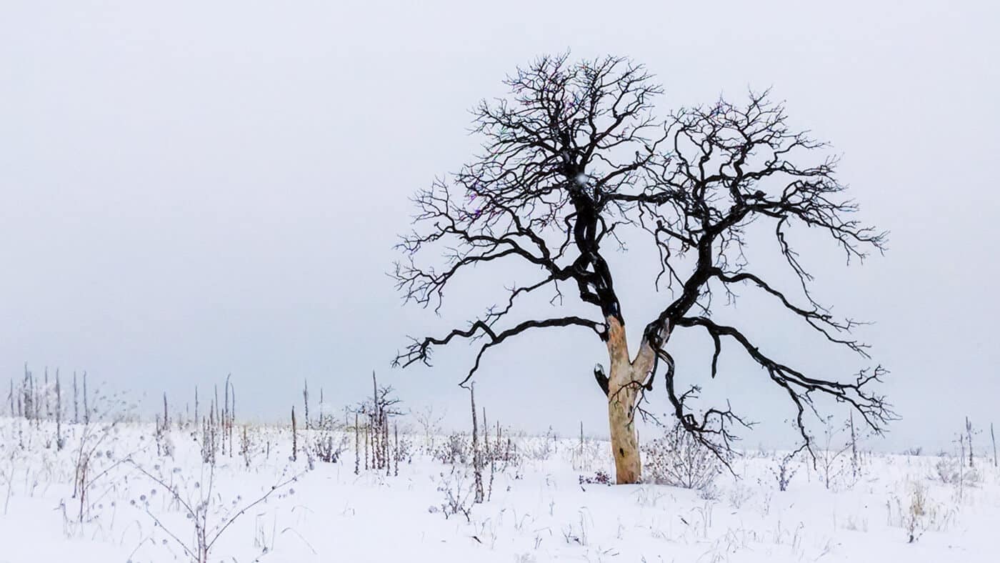 winter view in Canon City area