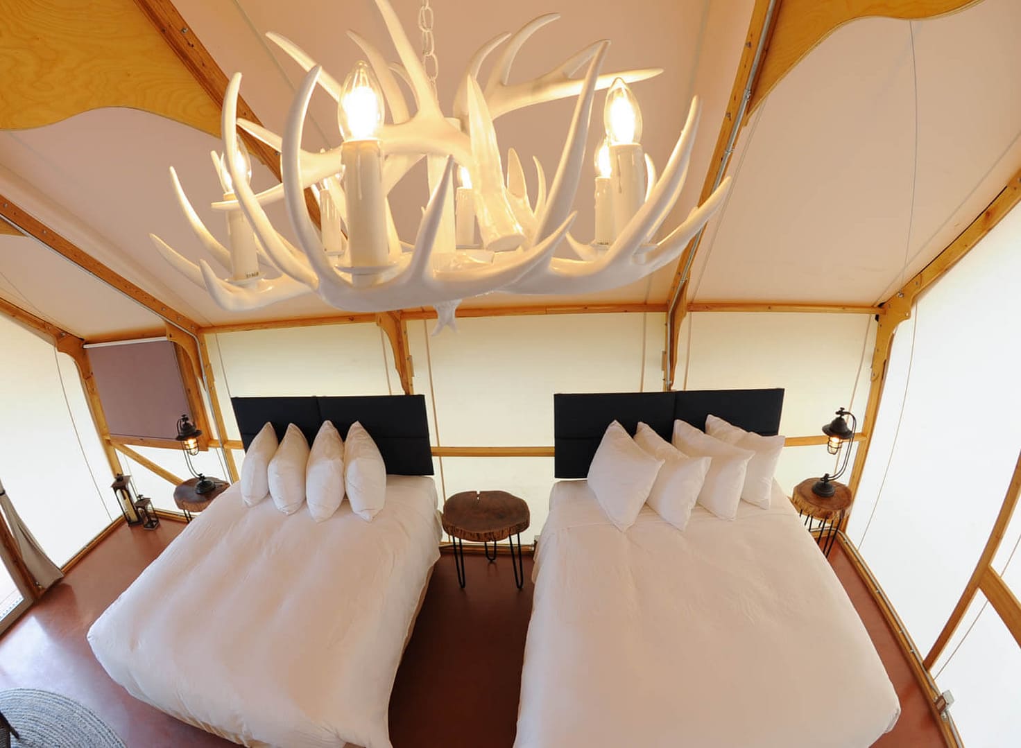 faux antler chandelier in Royal Gorge Cabin glamping tents