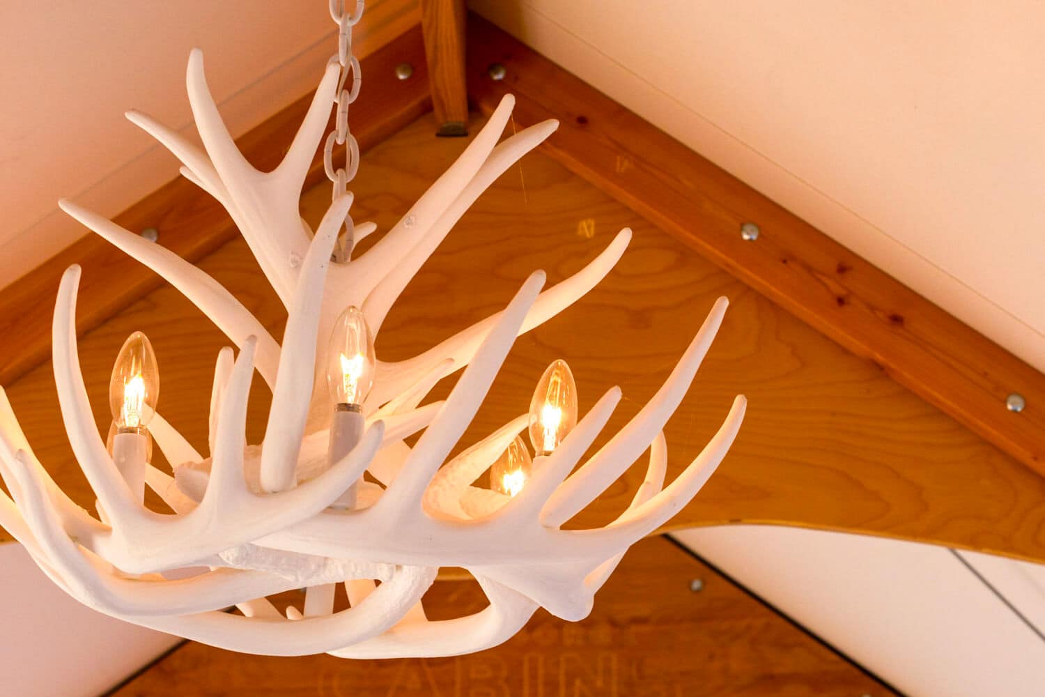 Custom antler chandelier