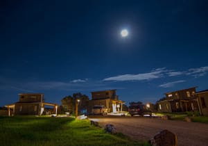 A beautiful view of Royal Gorge Cabins, nestled in nature, perfect for outdoor exploration and adventure.