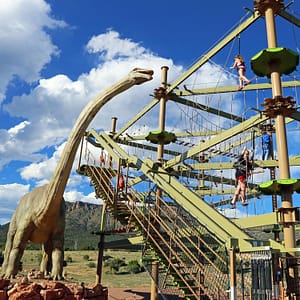 Wide view of the Ropes Course