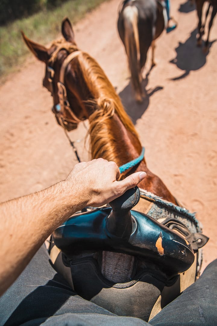 on the trail at Academy Riding Stables