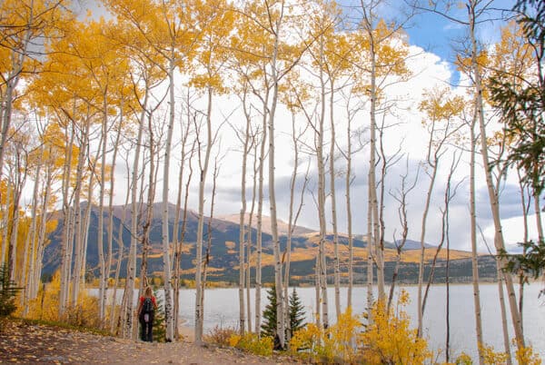 Hiking near Buena Vista, Colorado