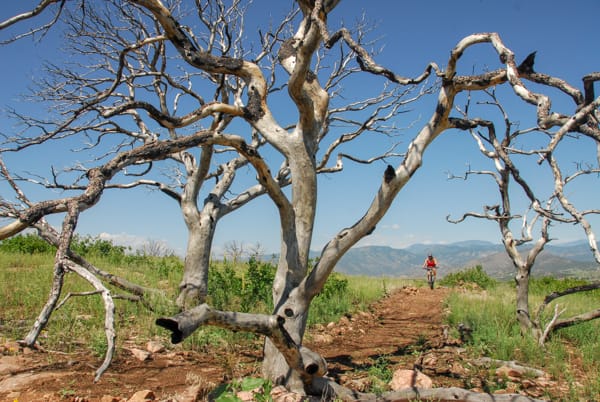 Royal Gorge Park Trail System