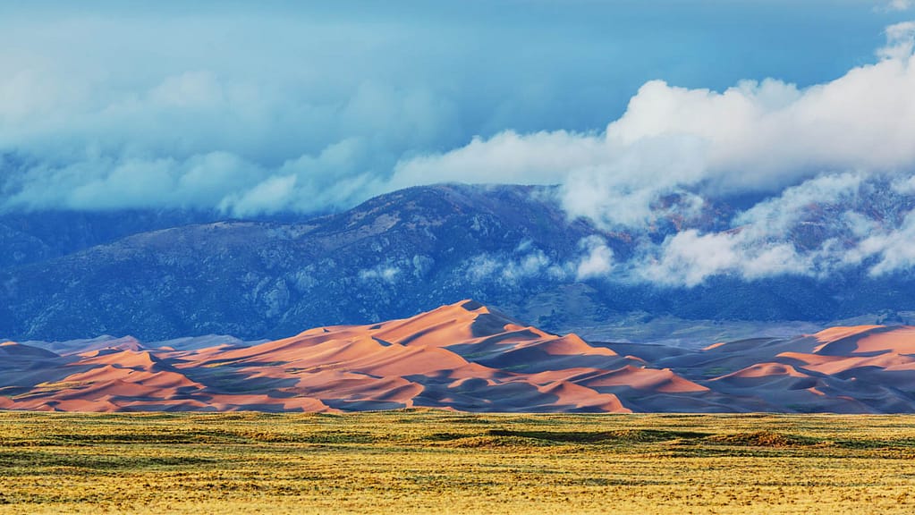 Sand Dunes Panorama