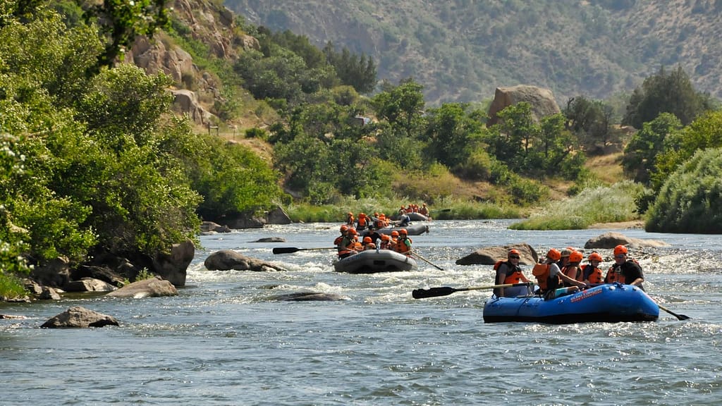 Beginner rafting on the Arkansas River