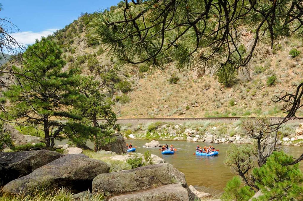 Arkansas River rafting in Bighorn Sheep Canyon