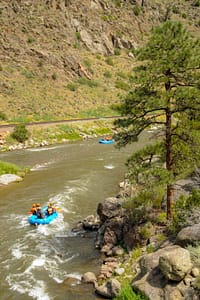 Bighorn Sheep Canyon scenic view