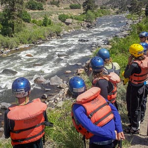Guides in training learning water dynamics