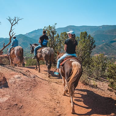 Horeseback ride with Academy Riding Stables