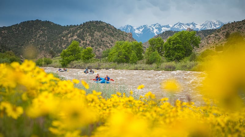 Whitewater rafting on a weekend getaway in Colorado.