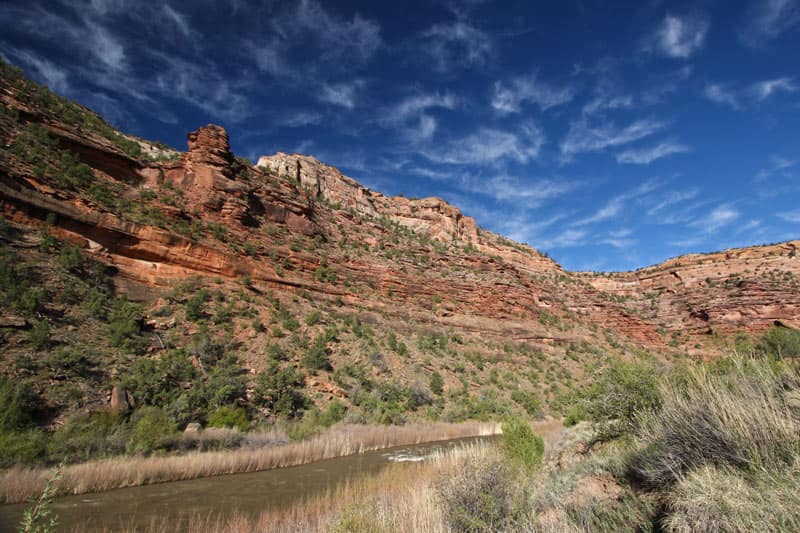 Dolores River canyon