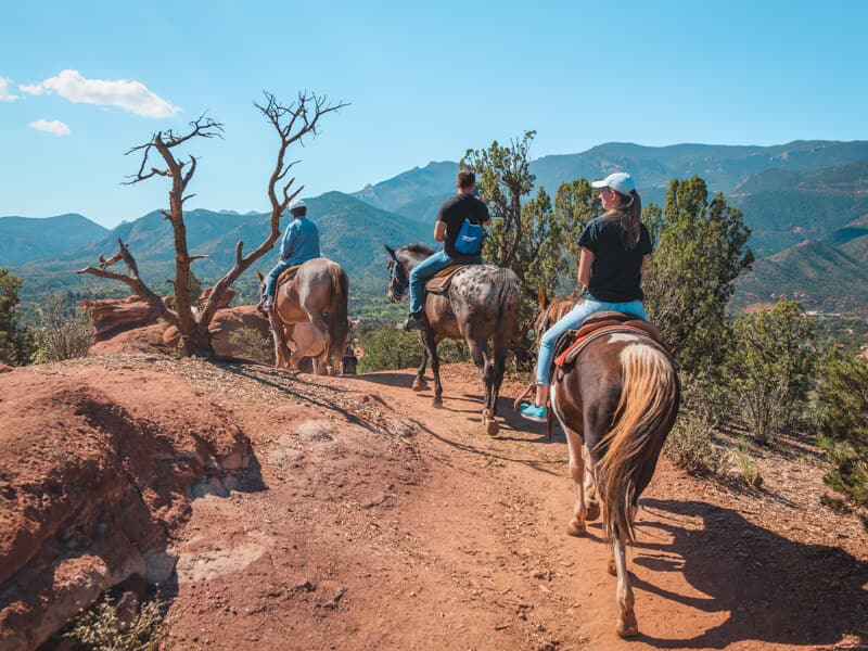 Horeseback ride with Academy Riding Stables