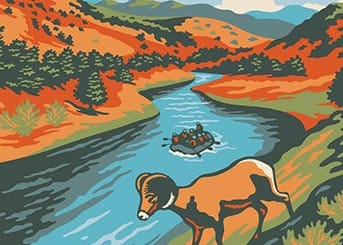 bighorn-illustration-comparison-scaled