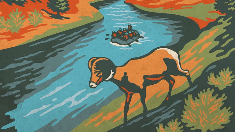 illustration of bighorn sheep and arkansas river