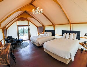 Double Queen Glamping Tent interior view