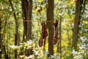 pair of socks hanging on clothesline with trees in background